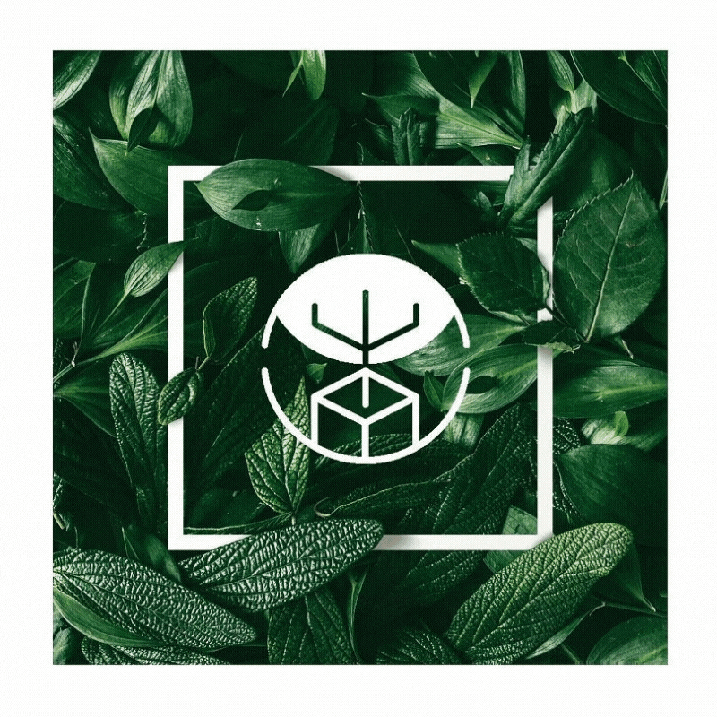 CAPTAIN VEGETAL_logo_gif.gif
