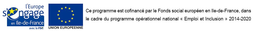 FSE_Emploi_Inclusion.jpg
