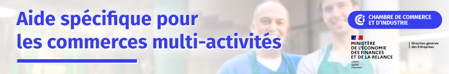 aide multi-activite - banniere (1).jpg