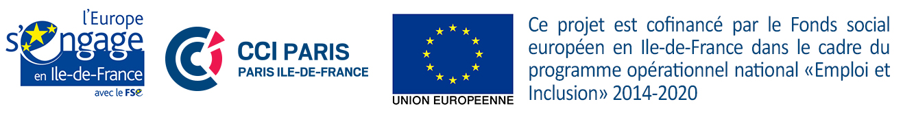 bandeau FSE logos Europe Idf-CCI75-UE-Programme Emploi Inclusion.jpg