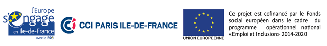 logo-fse-emploi-CCIR (1).png