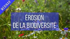 Érosion de la biodiversité et entreprise : comment agir ?