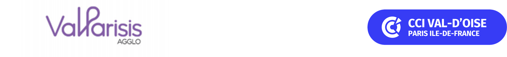 LOGO APPLI INDUS.png