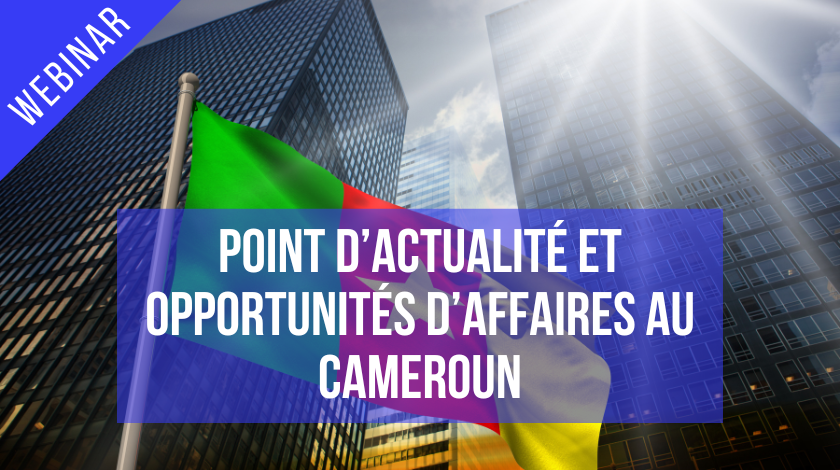 Webinar : Point d’actualité et opportunités d’affaires/d’investissements au Cameroun