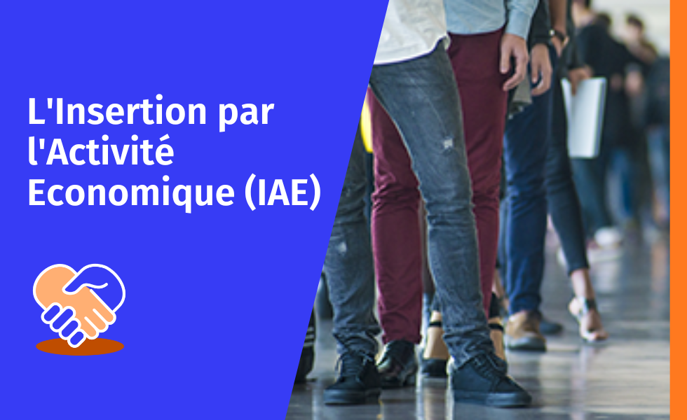 Insertion par l'Activité Economique (IAE)