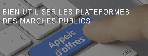 Bien utiliser les plateformes des marchés publics, atelier Nelson