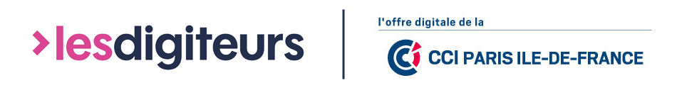 les-digiteurs-offre-digitale-ccir-bleu.png
