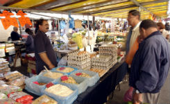 Étalage marché oeufs