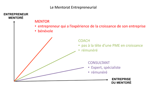 Graphique du mentorat entrepreneurial