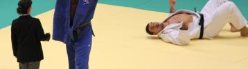 Teddy Riner lors de la finale +100 kg des championnats du monde de judo 2010